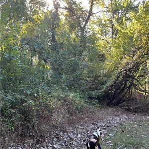 Meet your Posher, Nala0320